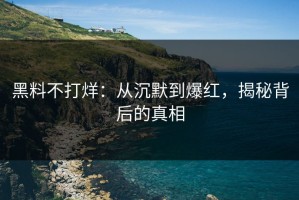 黑料不打烊：从沉默到爆红，揭秘背后的真相