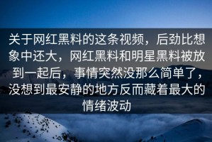 关于网红黑料的这条视频，后劲比想象中还大，网红黑料和明星黑料被放到一起后，事情突然没那么简单了，没想到最安静的地方反而藏着最大的情绪波动