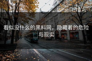 看似没什么的黑料网，隐藏着的危险与现实