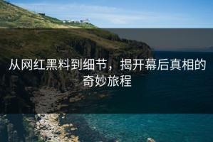 从网红黑料到细节，揭开幕后真相的奇妙旅程
