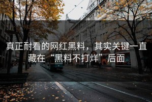 真正耐看的网红黑料，其实关键一直藏在“黑料不打烊”后面