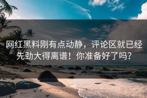 网红黑料刚有点动静，评论区就已经先劲大得离谱！你准备好了吗？