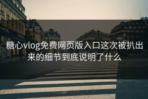 糖心vlog免费网页版入口这次被扒出来的细节到底说明了什么