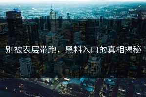 别被表层带跑，黑料入口的真相揭秘