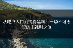从吃瓜入口到揭露黑料：一场不可思议的电视剧之旅
