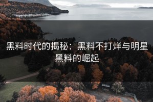 黑料时代的揭秘：黑料不打烊与明星黑料的崛起