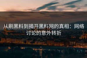 从刷黑料到揭开黑料网的真相：网络讨论的意外转折