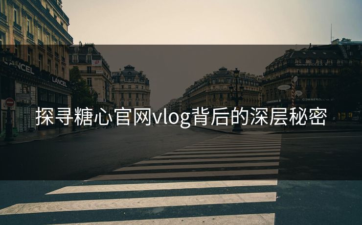 探寻糖心官网vlog背后的深层秘密