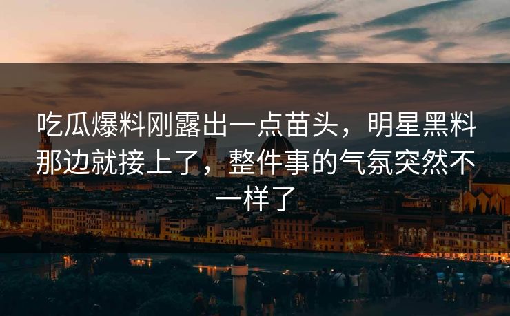 吃瓜爆料刚露出一点苗头，明星黑料那边就接上了，整件事的气氛突然不一样了