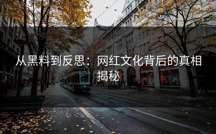 从黑料到反思：网红文化背后的真相揭秘