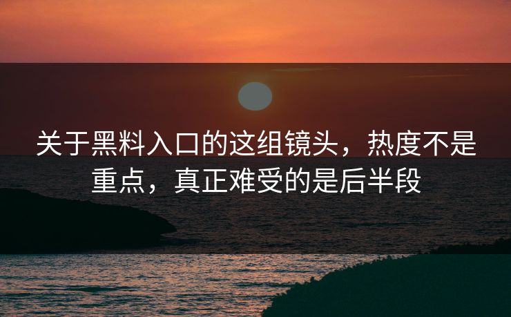 关于黑料入口的这组镜头，热度不是重点，真正难受的是后半段