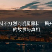 从黑料不打烈到明星黑料：揭开背后的故事与真相
